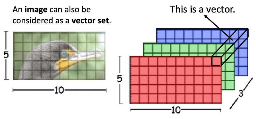 This image can be considered as a vector set containing $5 \times 10$ vectors of shape $(1 \times 1 \times 3).$