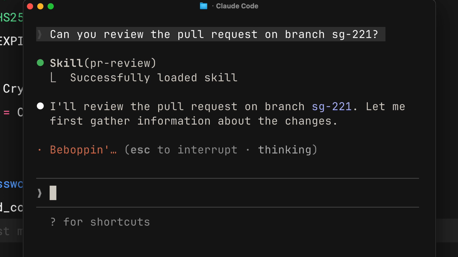 After a request to review the pull request on branch sg-221, a Skill pr-review line reads &ldquo;Successfully loaded skill&rdquo;.