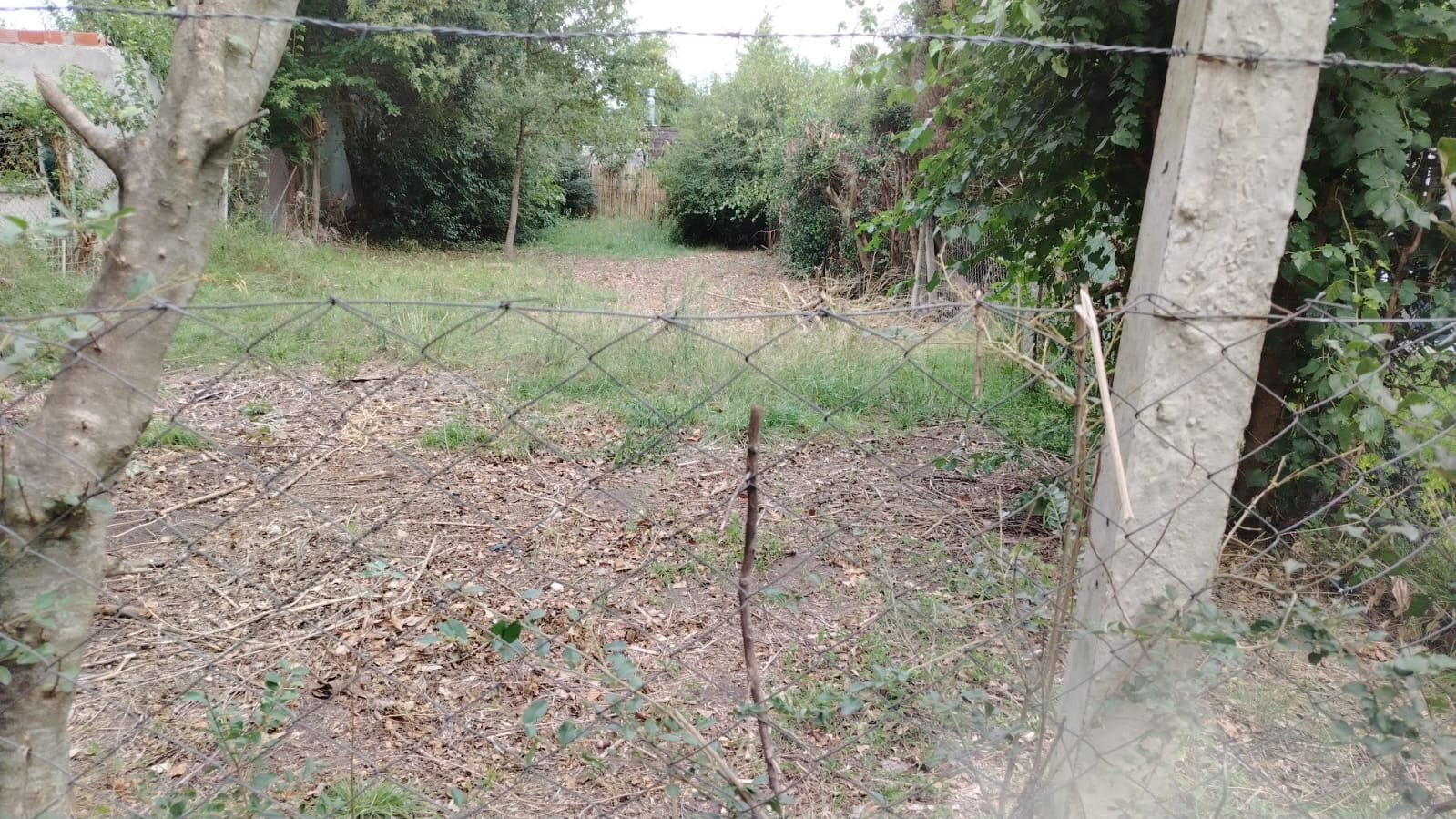 Terreno