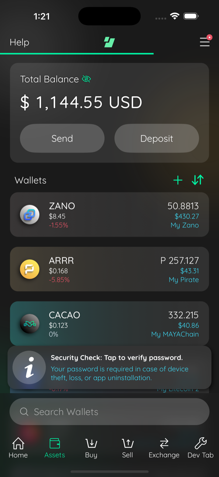 ui during zano scan