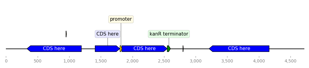 https://raw.githubusercontent.com/Edinburgh-Genome-Foundry/DnaFeaturesViewer/master/examples/custom_biopython_translator.png