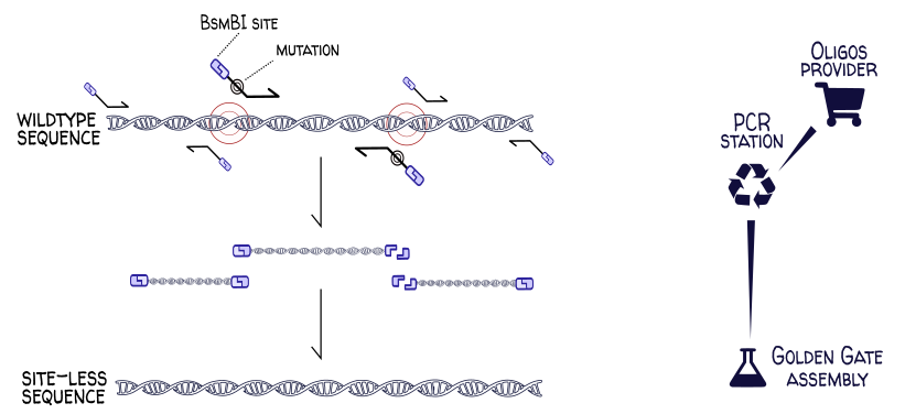 DNA Weaver example