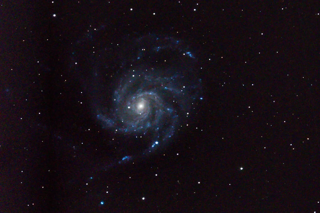 Supernova in the Pinwheel galaxy