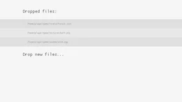 core_drop_files