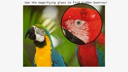 textures_magnifying_glass