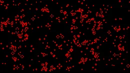 compute_shader_game_of_life