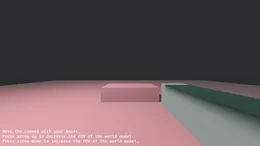 first_person_view_model