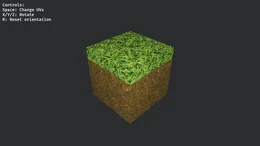 generate_custom_mesh