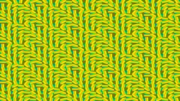 many_gradients