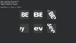 overflow_debug