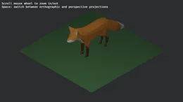 projection_zoom