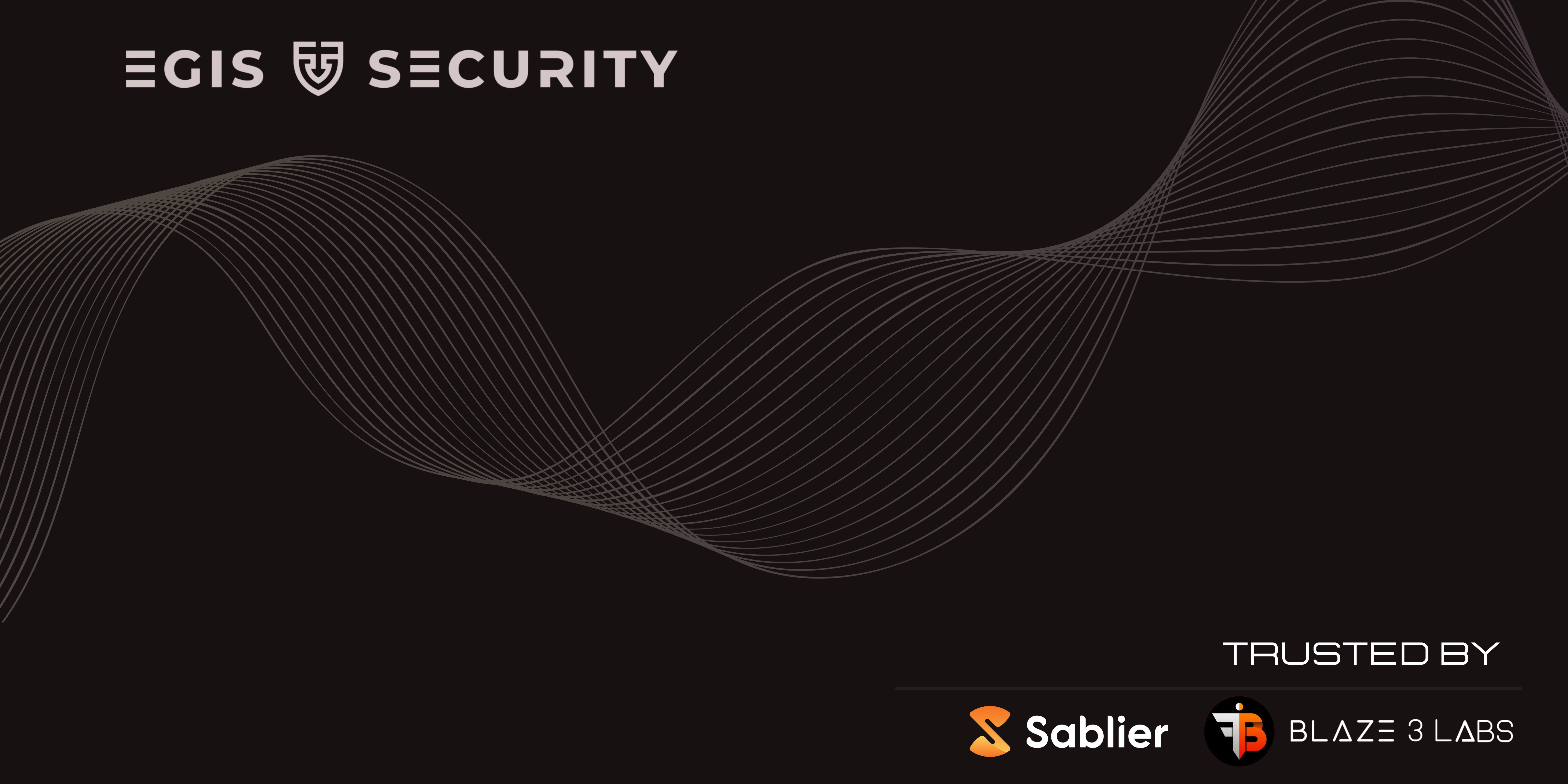 Egis Security Banner