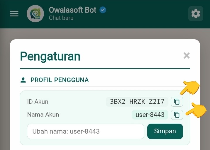 Halaman Pengaturan menampilkan ID Akun dan Nama Akun