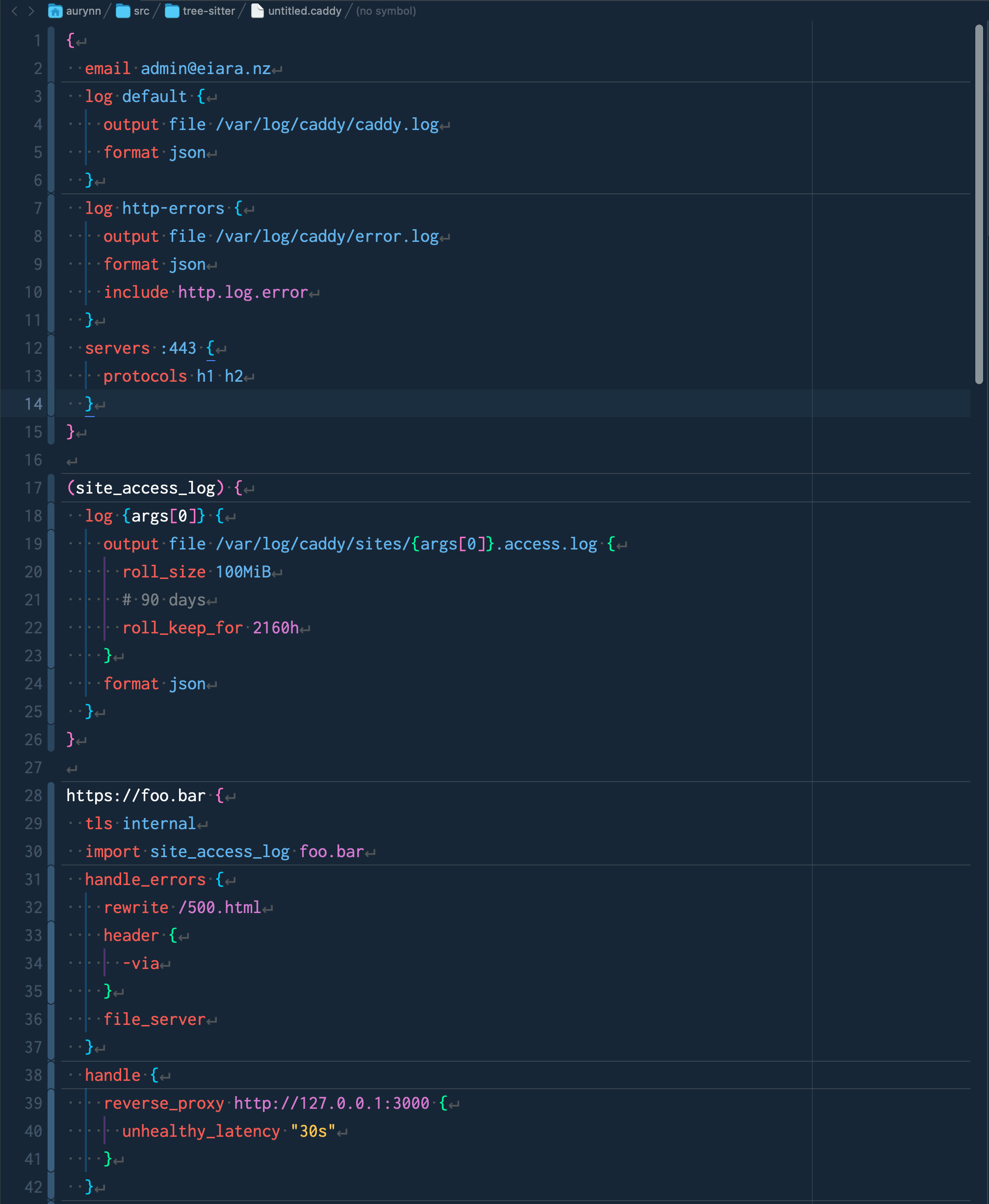 Screenshot of the editor with highlighting
