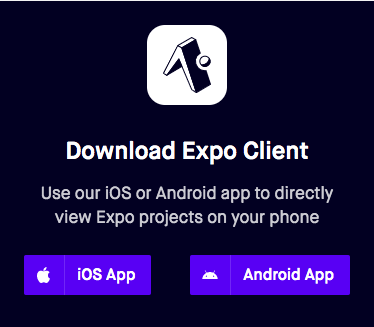 icon of Expo Client app