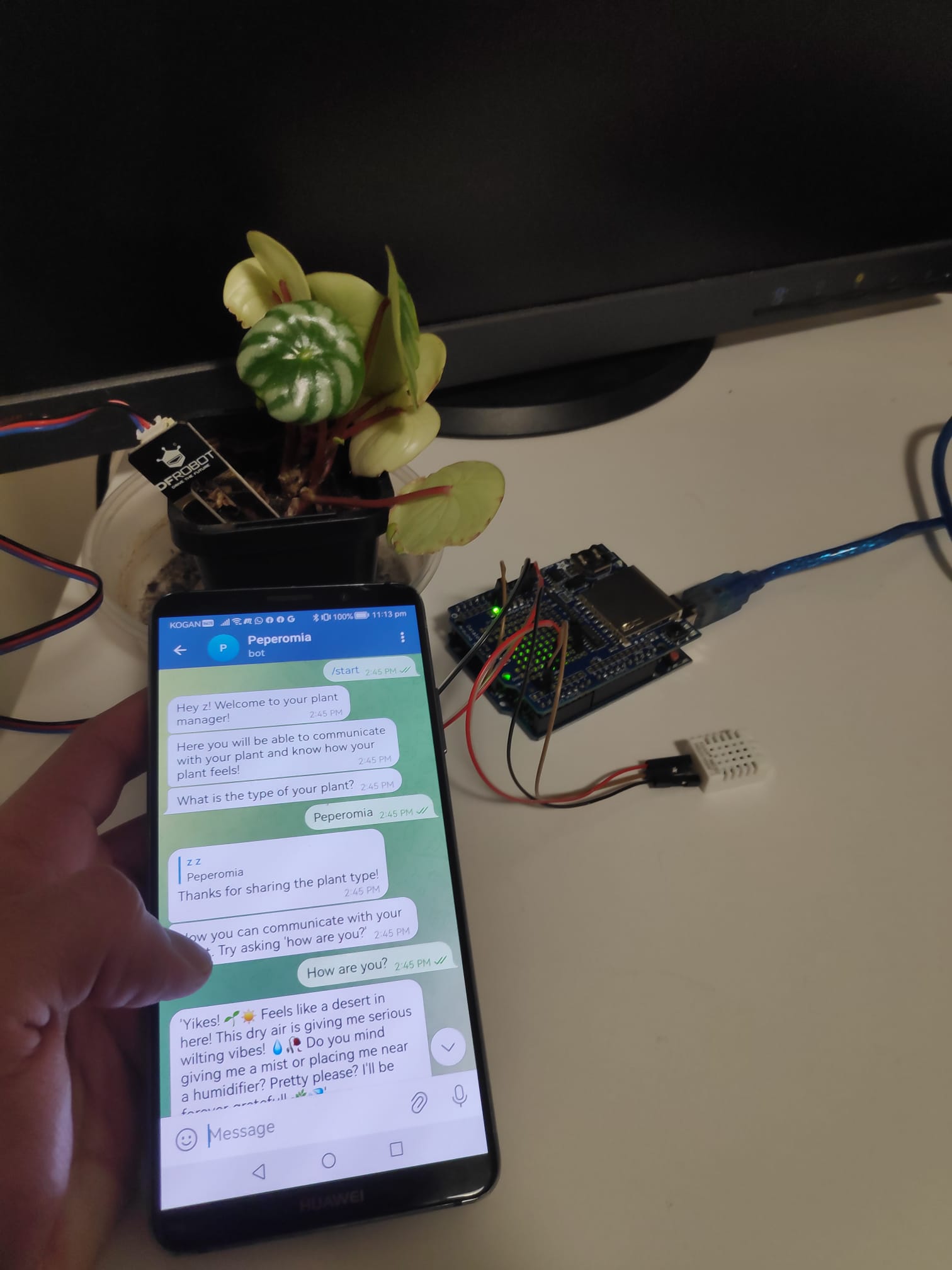 Peperomia: Plant-Human
chat system