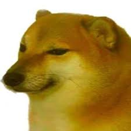 meme-cheems-perrito-shiba