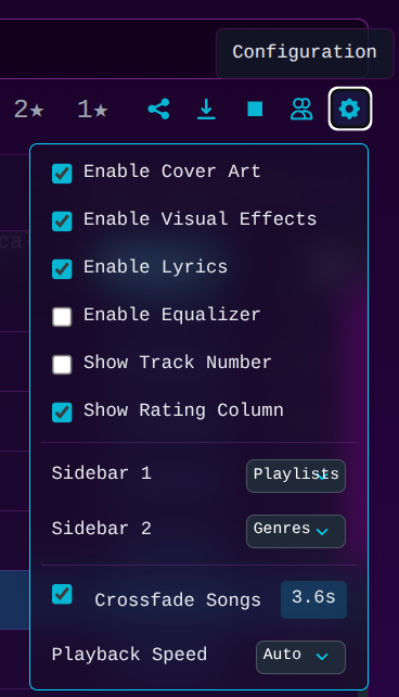 Synthwave Player public interface settings