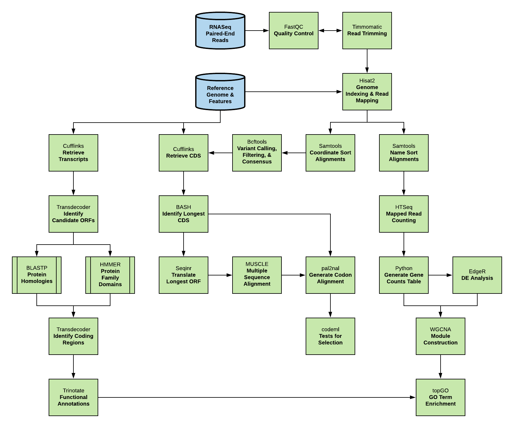 RNA-seq Analysis Pipeline