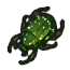 Image de Cétoine