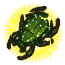 Image de Cétoine ★