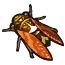 Image de Cigale marron