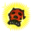 Image de Coccinelle ★