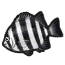 Image de Daurade rayée