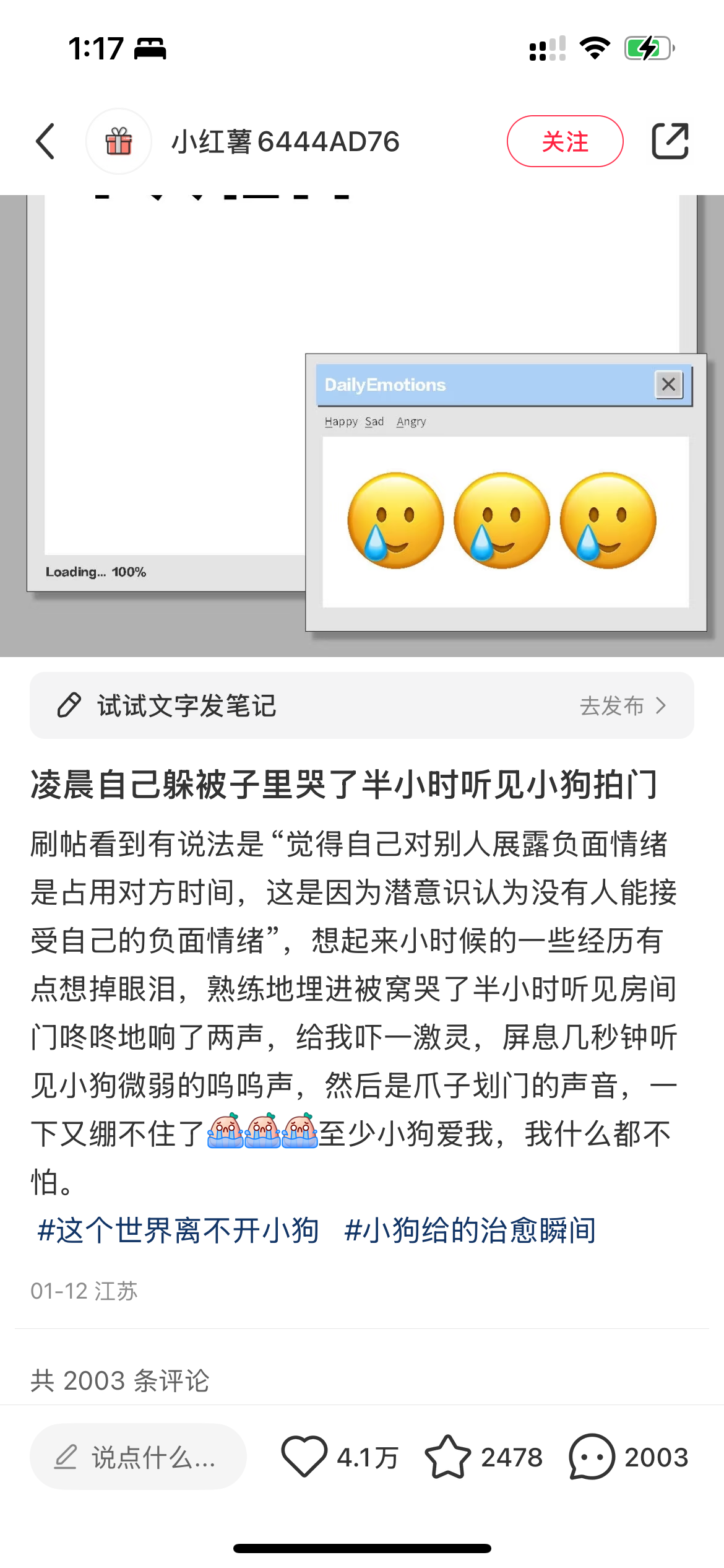 IMG_2245.png