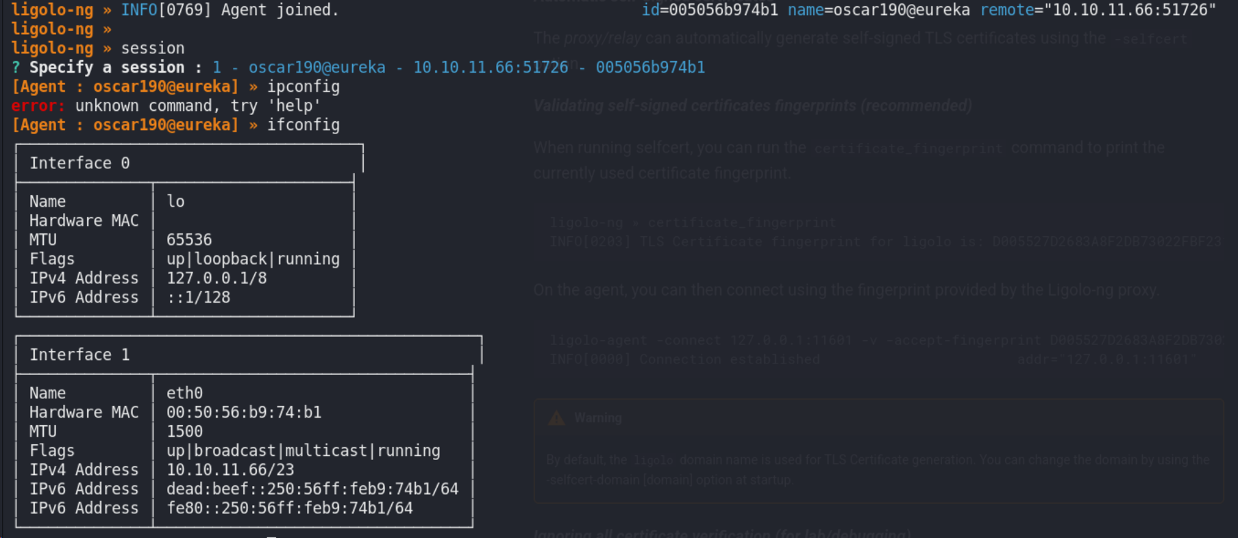 image-20250531232731612