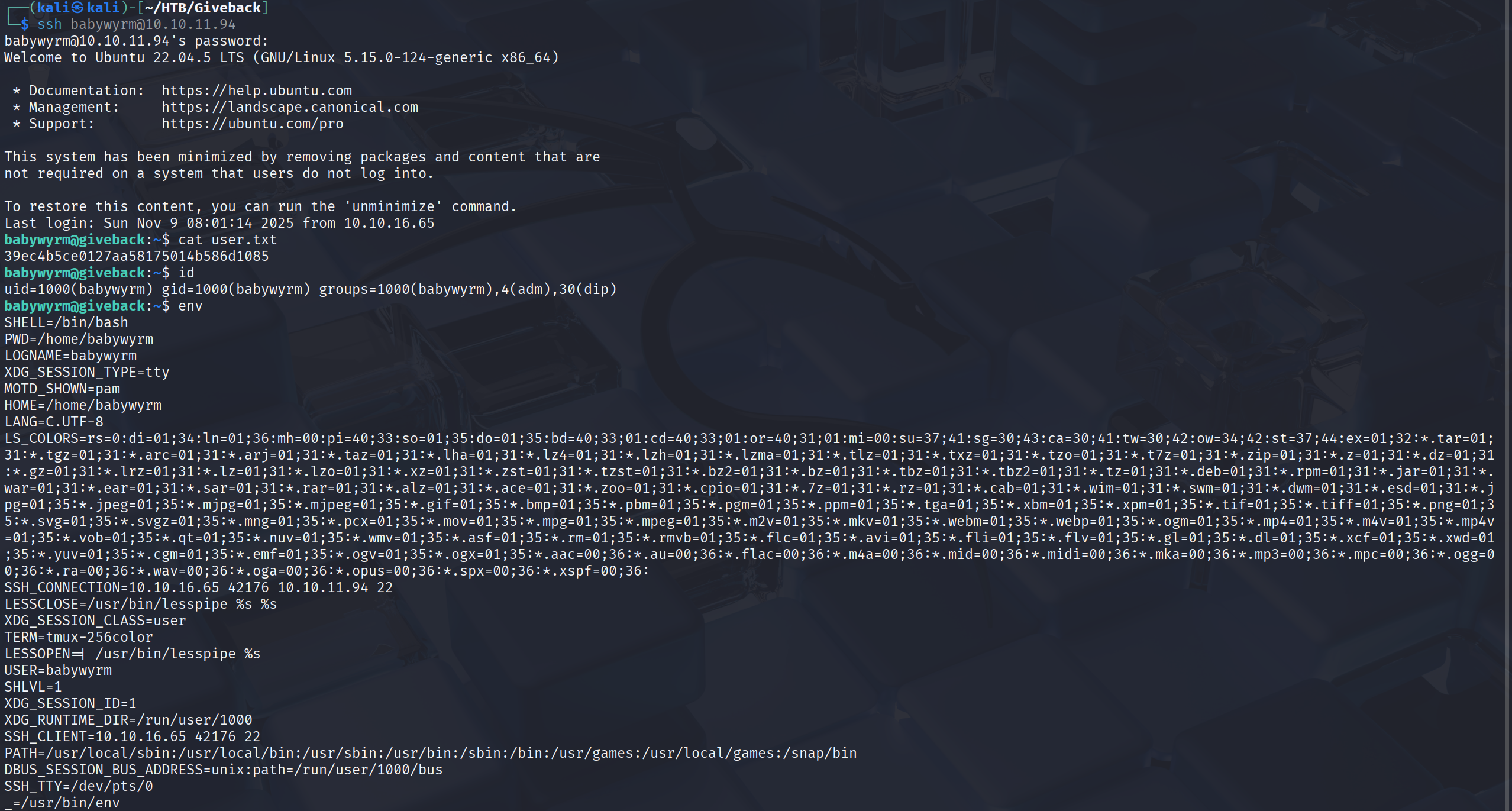 image-20251109163001705