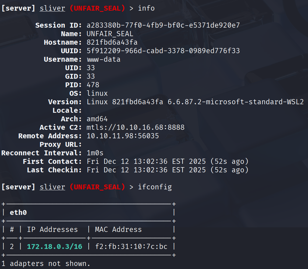 image-20251213020405159