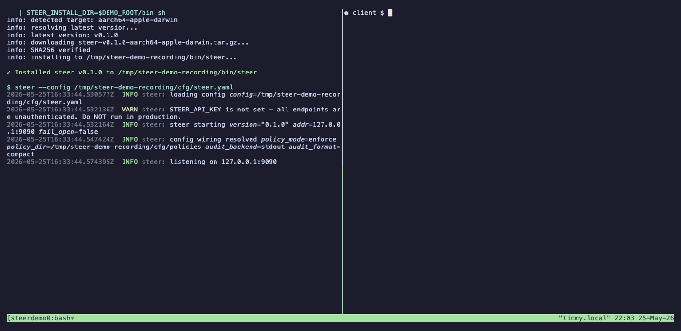 Steer demo — split pane: install + steer running on the left, two blocked requests on the right