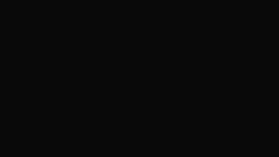 Amber CRT terminal: a NAV curve drawing on across twelve months with a typed command line above it