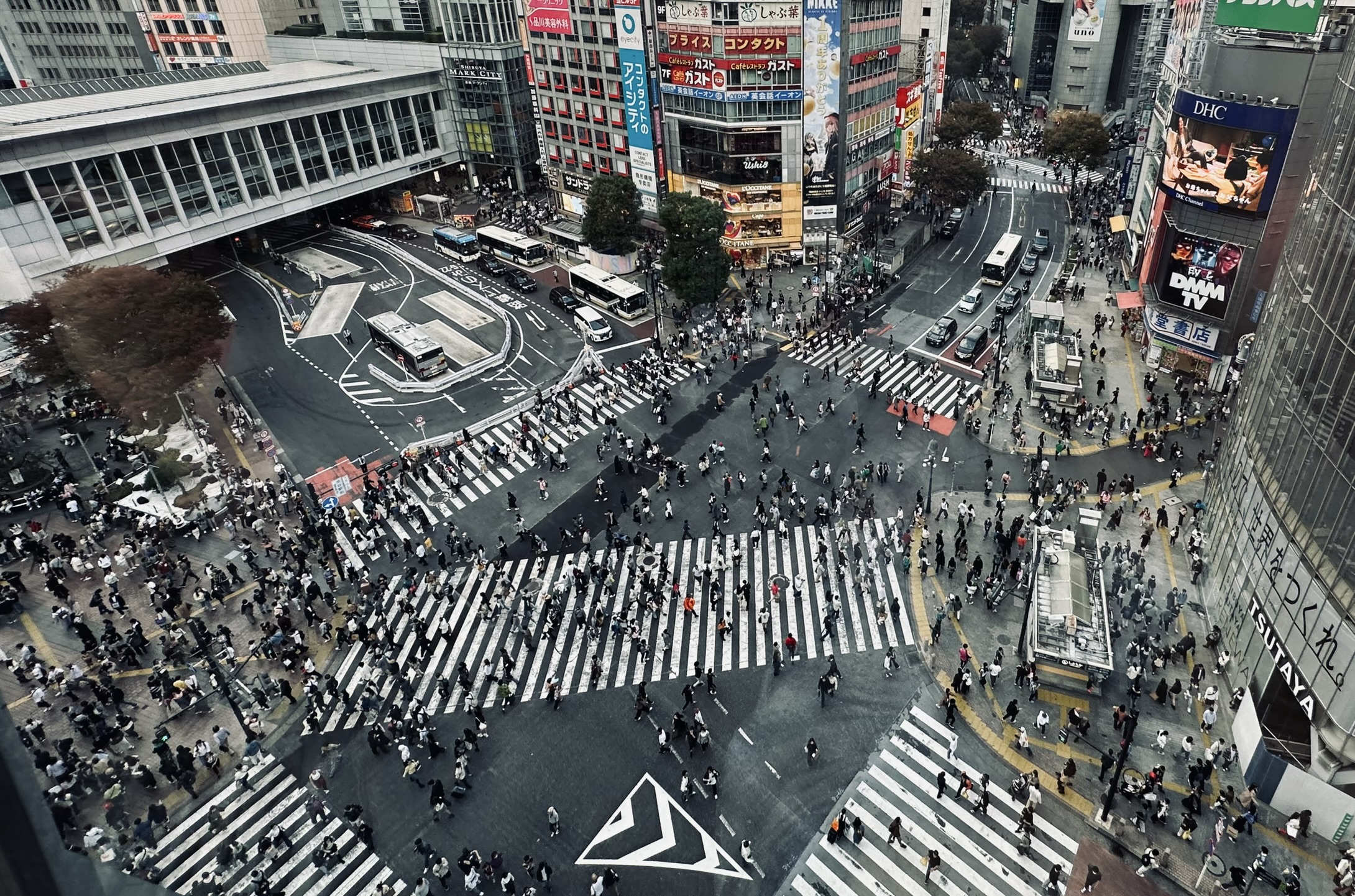 shibuya crossing