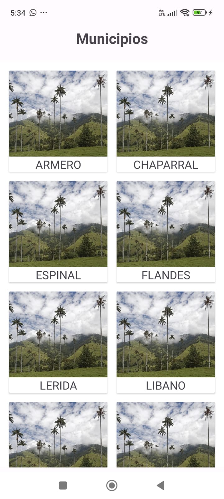 Tolima Schools