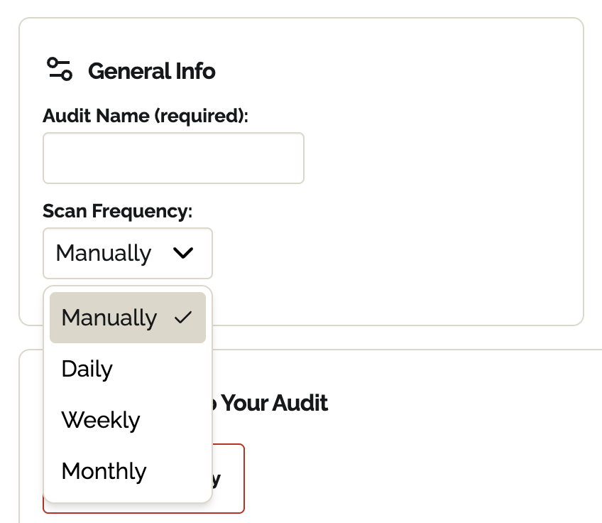 General Info section with Audit Name (required) text field and Scan Frequency dropdown set to Manually.