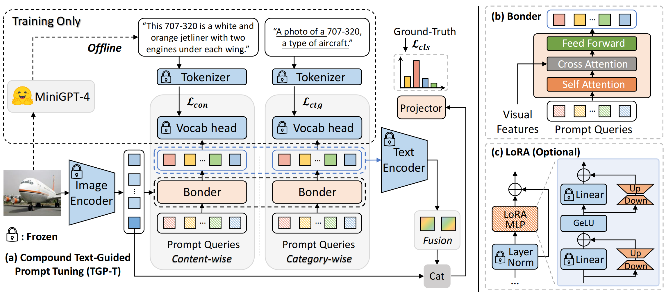 TGP-T Framework