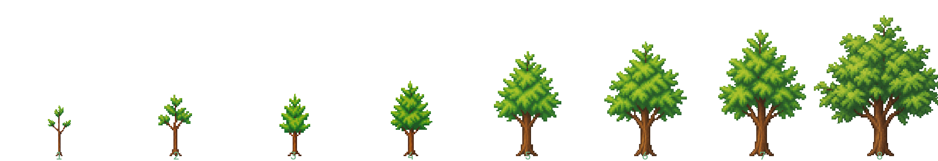 8 growth stages, from sprout to full tree