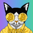 BITCATLogo