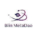 BLINLogo