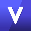 VGXLogo