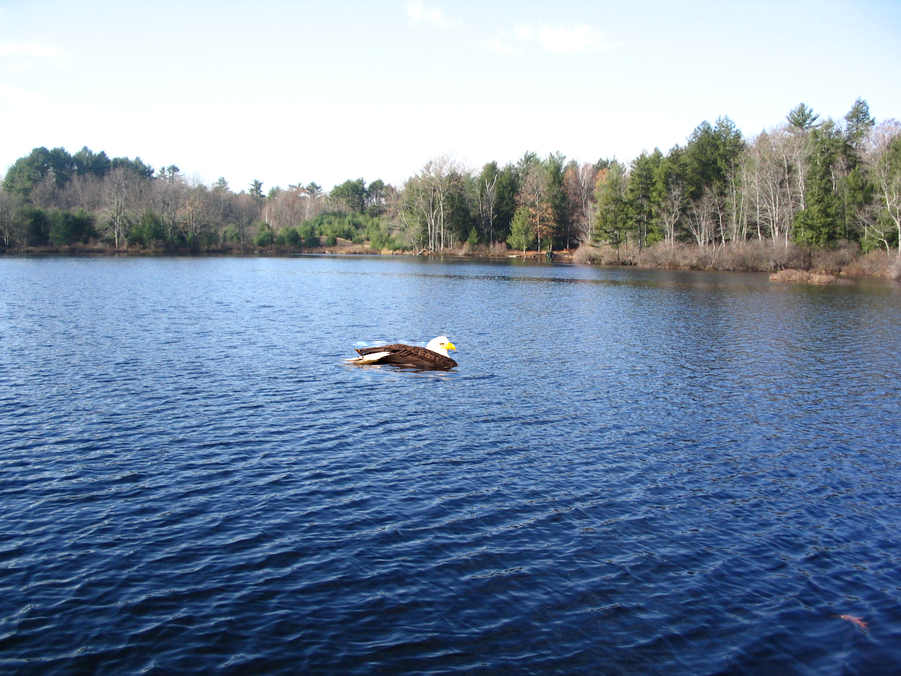 water eagle lake