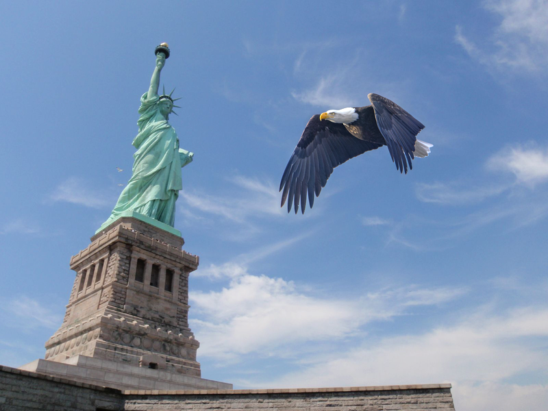 eagle liberty