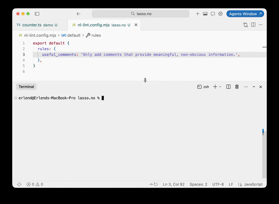 Watch the nl-lint demo