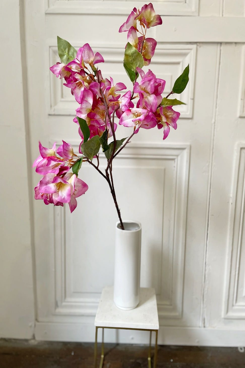 bougainvillier multicolore