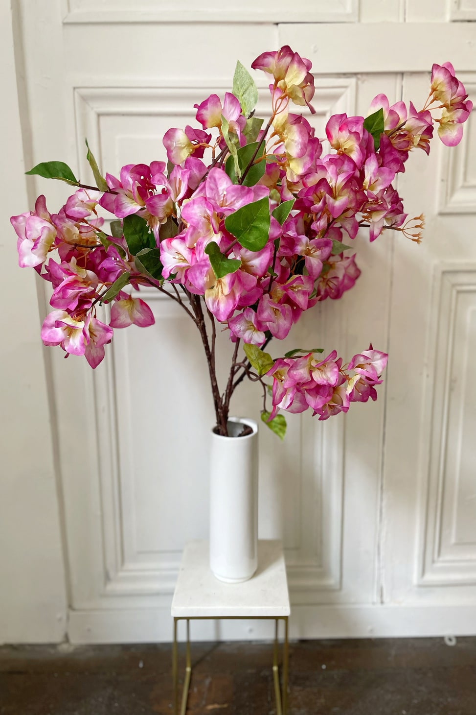 bougainvillier multicolore