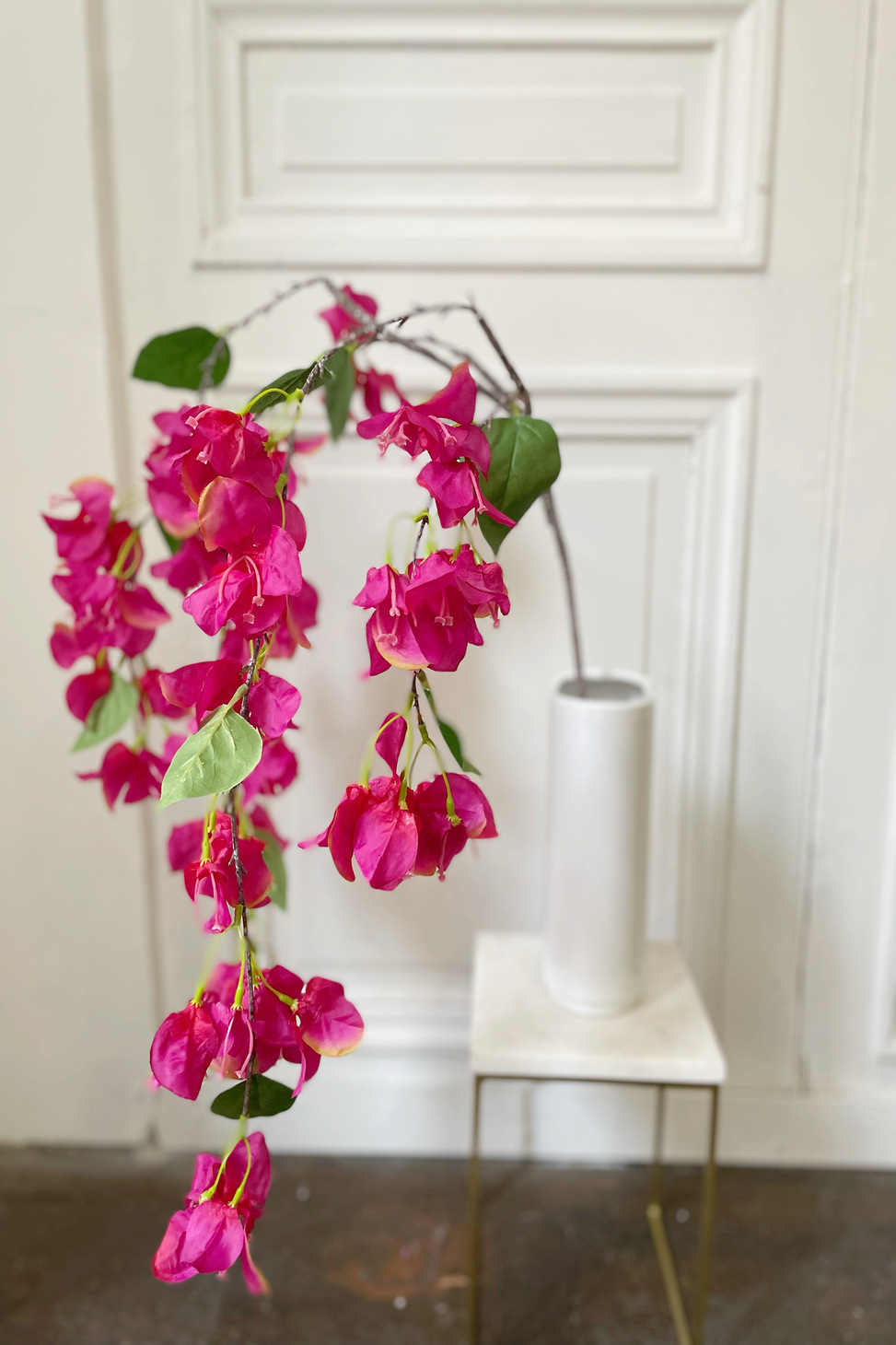 bougainvillier rose fuchsia